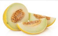 Muskmelon